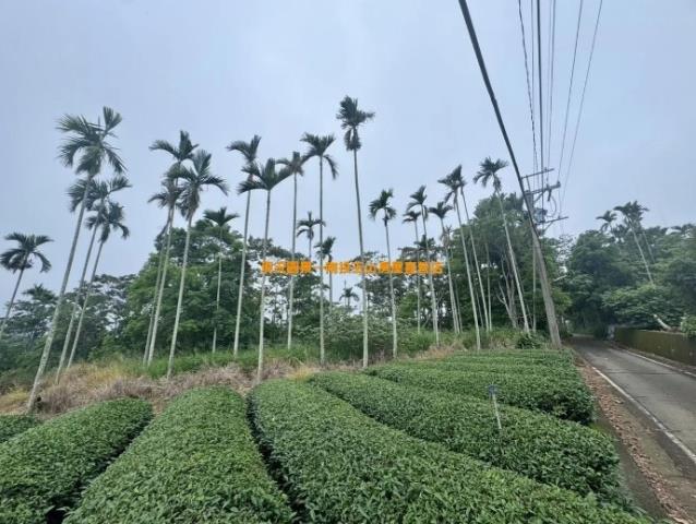 南投農地-3