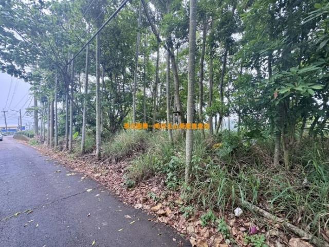 南投農地-4