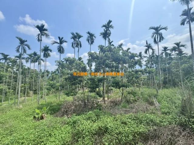 南投農地-1