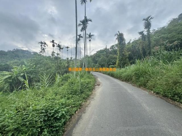 南投山坡地-1