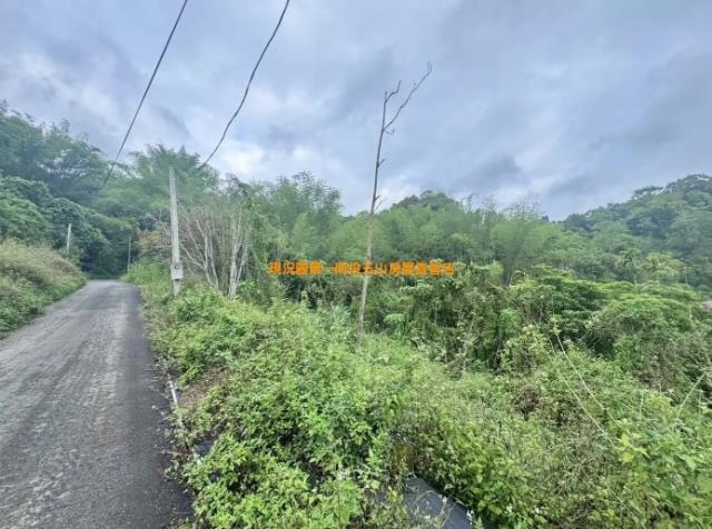 南投山坡地-3