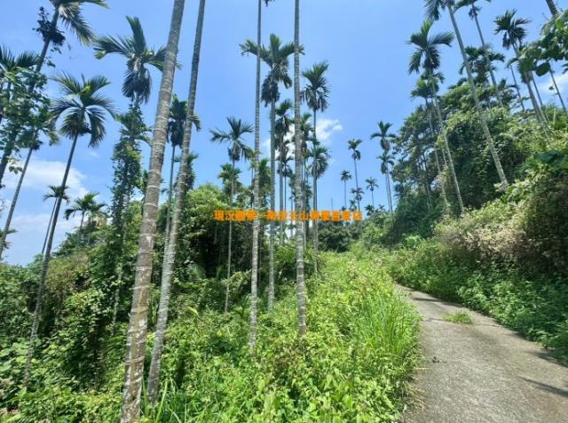 南投山坡地-3