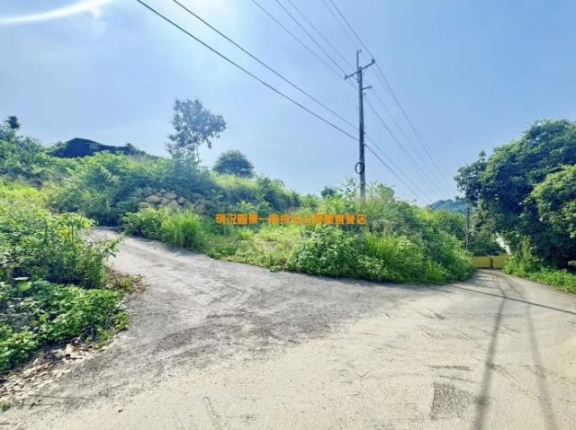南投南投市農地-1