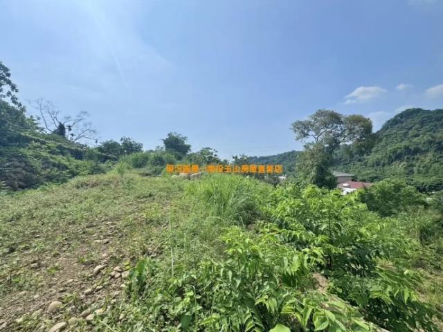 南投南投市農地-3