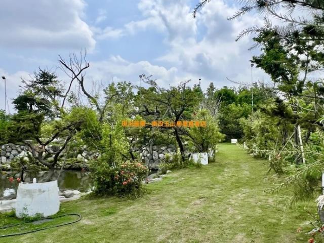 南投農地-6