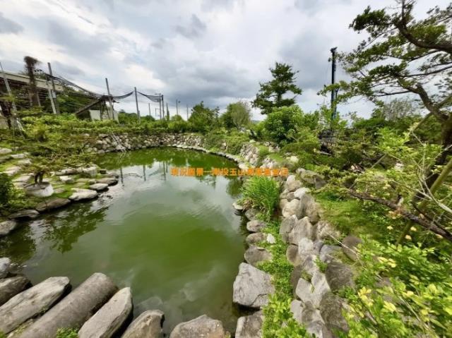 南投農地-8