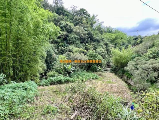 南投農地-1