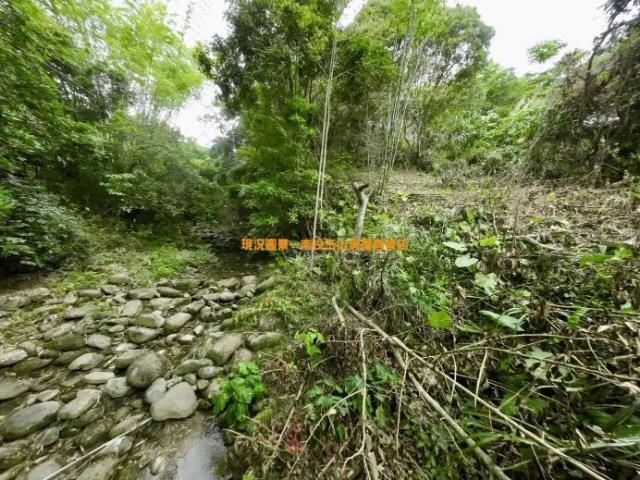 南投農地-8