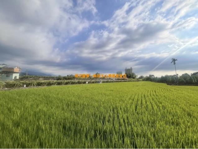 南投竹山農地-0