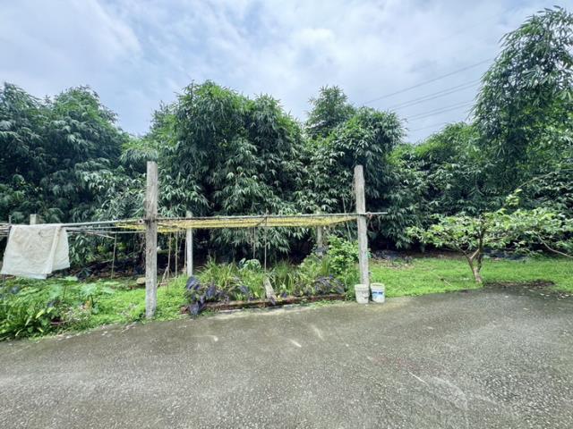 南投農地-5