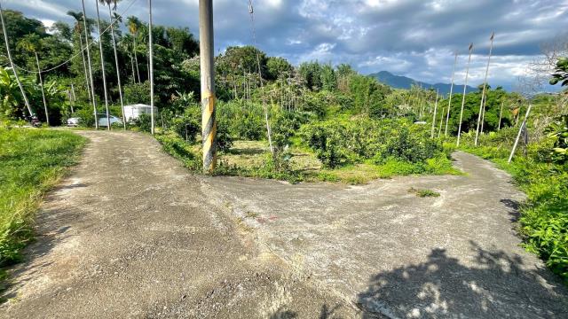 集集農地-6
