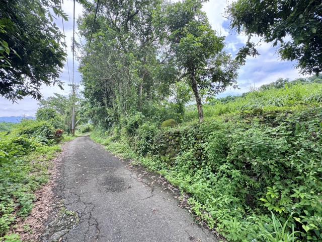中寮農地-1