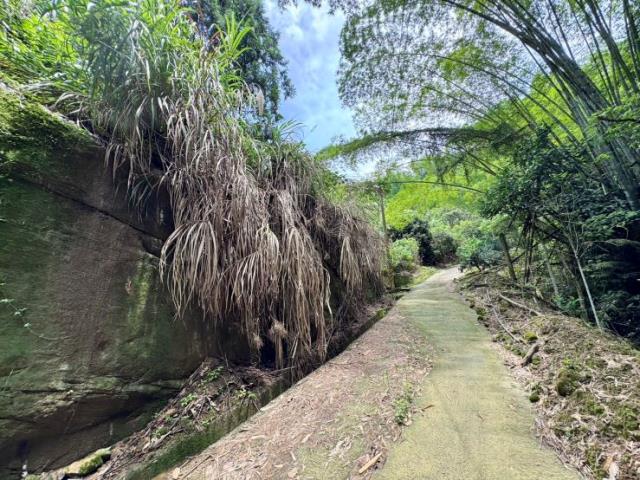 南投中寮山坡地-0