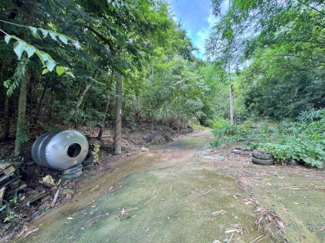 南投中寮山坡地-0