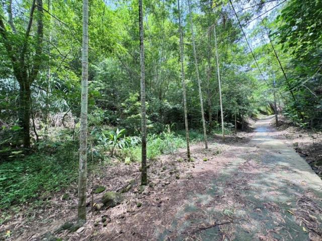 南投中寮山坡地-6