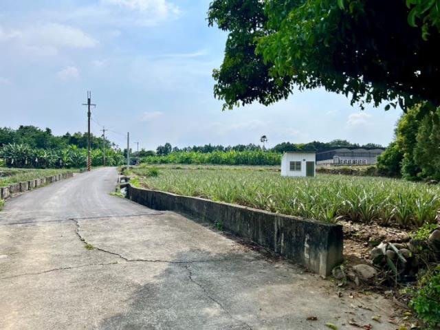 名間農地-0