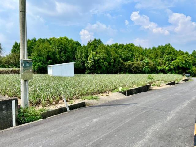 名間農地-3