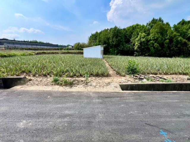 名間農地-4