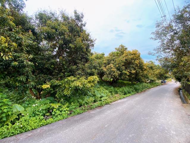 南投市農地-1