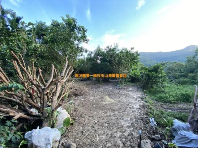 鹿谷農地-0