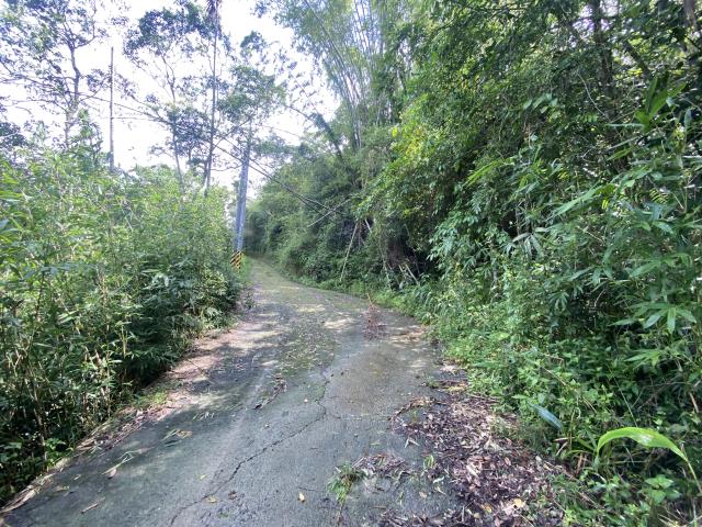 南投中寮山坡地-3