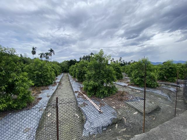 竹山農地-2