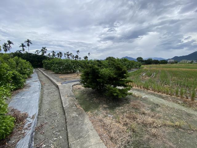 竹山農地-4