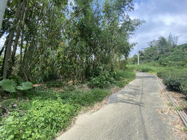竹山農地-0