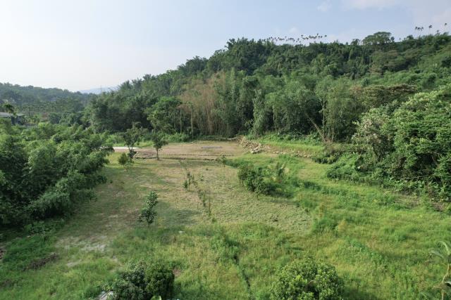 南投竹山農地-4