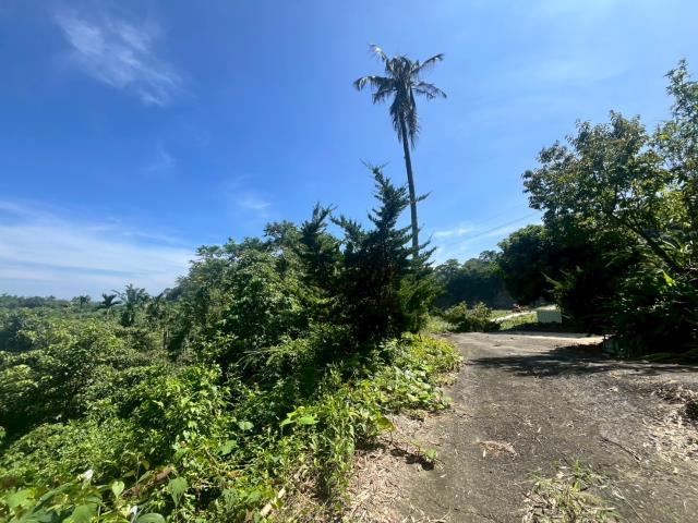中寮農地-2