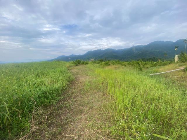 南投竹山農地-1