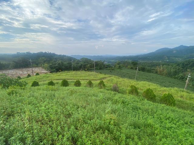 南投竹山農地-3