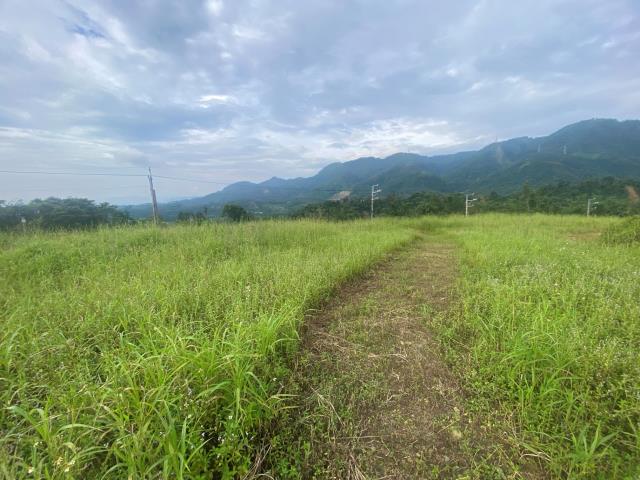 南投竹山農地-5