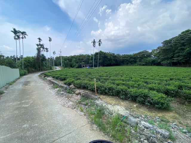 南投名間農地-0