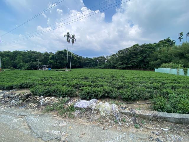 南投名間農地-1