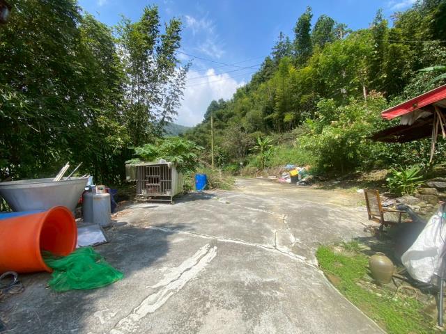 鹿谷農地-10