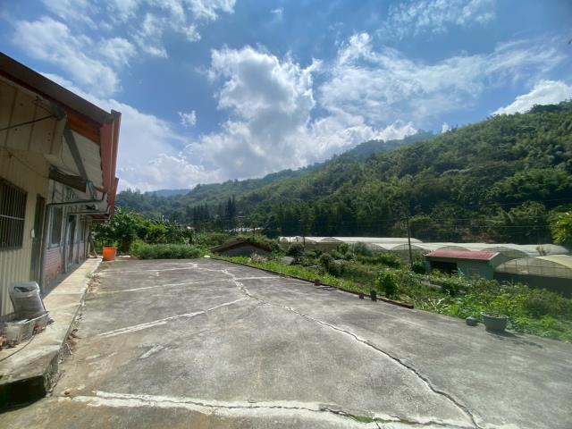 鹿谷農地-12