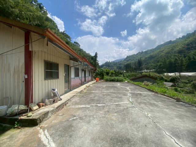 鹿谷農地-2