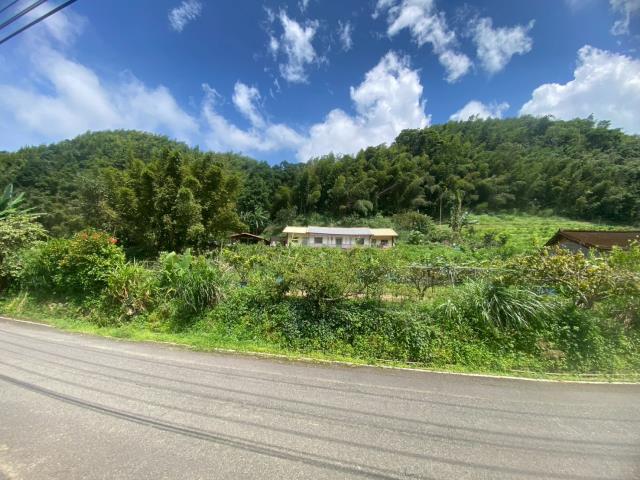 鹿谷農地-3