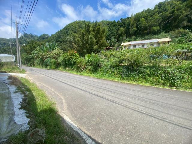 鹿谷農地-4