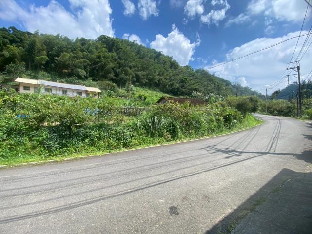 鹿谷農地-5