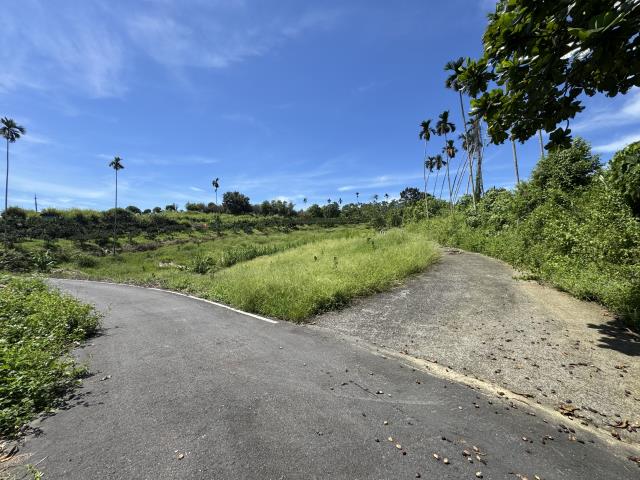 中寮山坡地-0