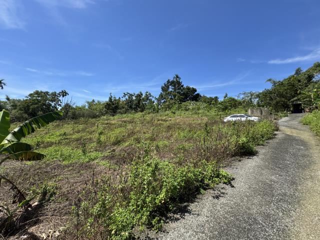 中寮山坡地-3
