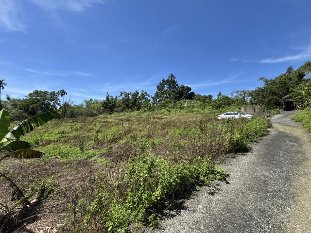 中寮山坡地-4
