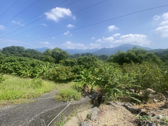 中寮農地-1