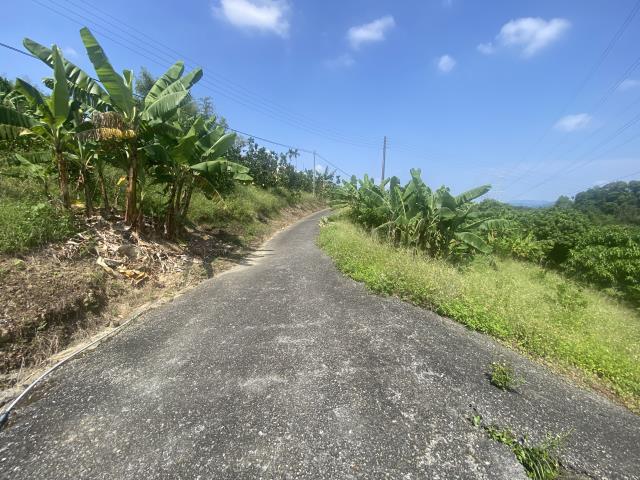 中寮農地-2