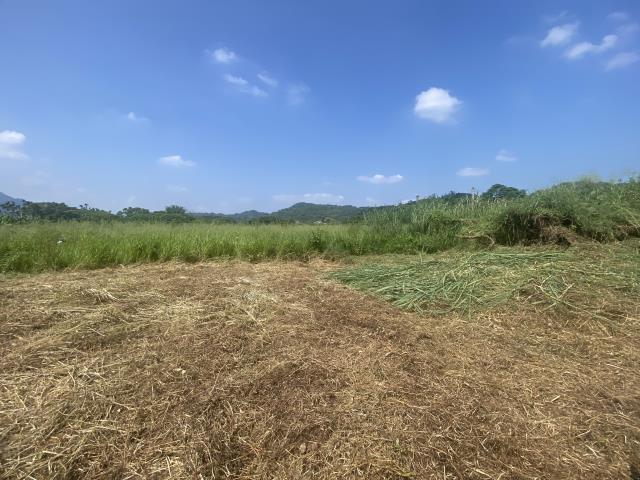 集集農地-1
