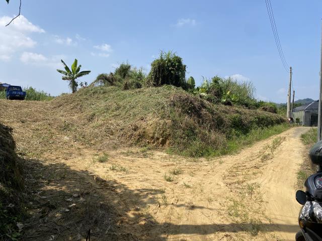 集集農地-3