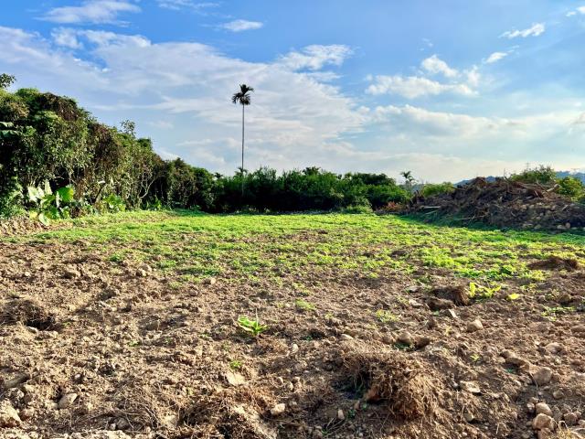 南投中寮農地-5