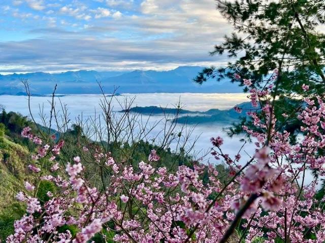 南投國姓農地-0